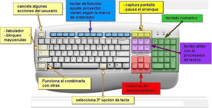 Teclado Del Ordenador Tipos Partes Y Atajos 8962